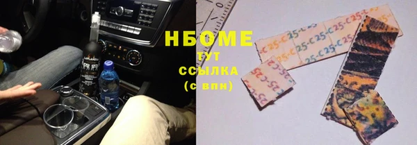 шишки Абаза