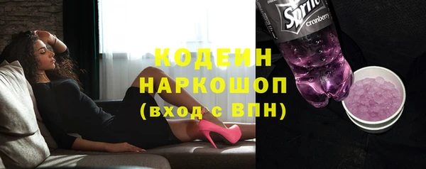 шишки Абаза