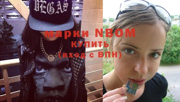 шишки Абаза