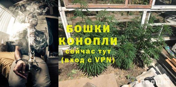 шишки Абаза