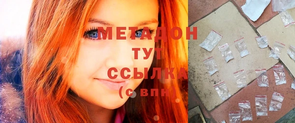 шишки Абаза