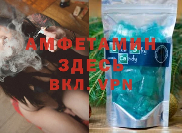 шишки Абаза